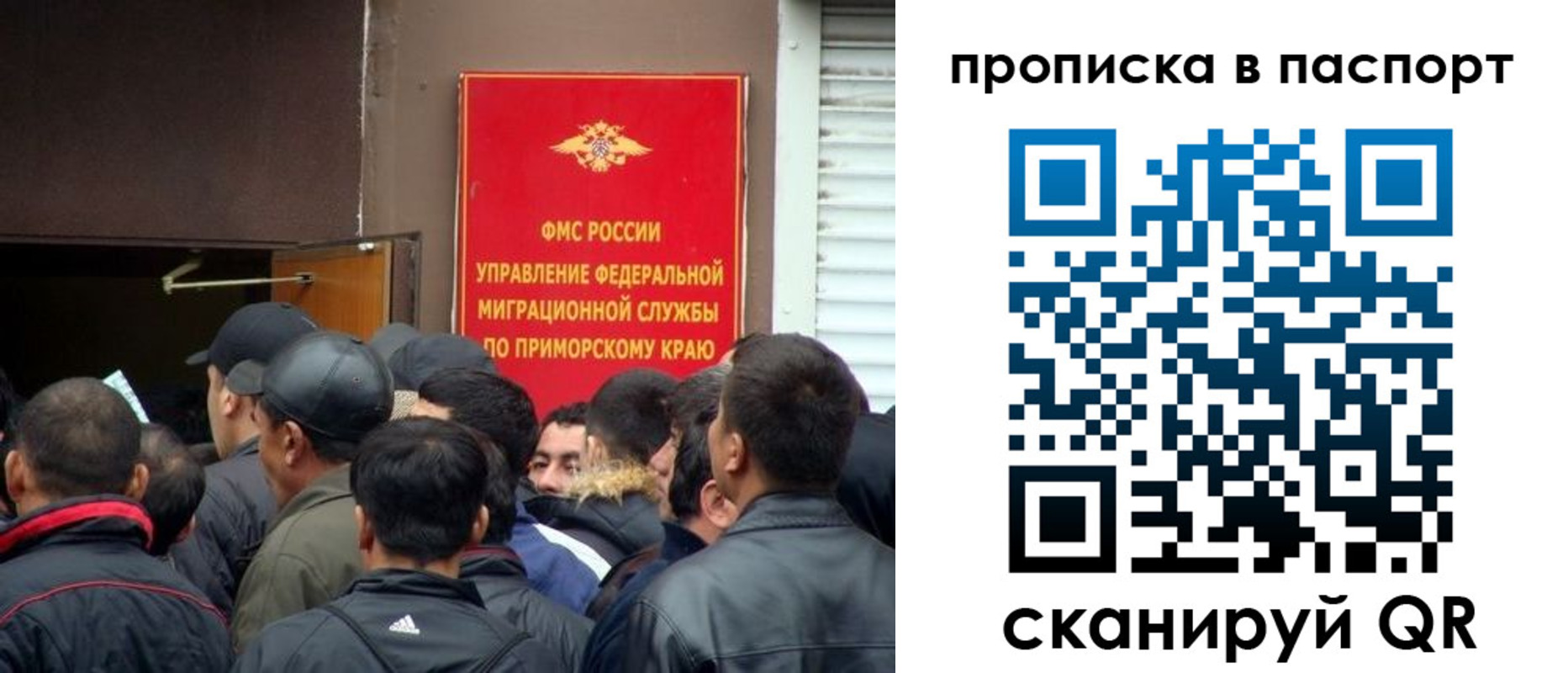 прописка поиск в Майкопе